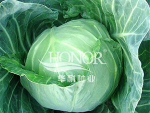 �и�15-��������-������ҵ