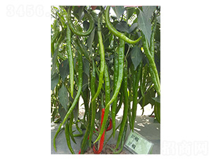����19��-�߽�����-������ҵ