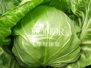 ����42-��������-������ҵ