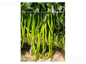 ����140-�߽�����-������ҵ
