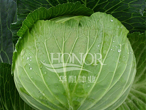 ����101-��������-������ҵ