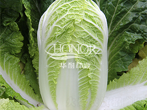 ����B1102-���޲�����-������ҵ