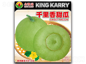 ǧ�������-�������-����