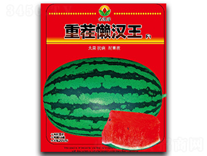 �ز�������-��������-����