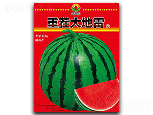 �ز�����-��������-����