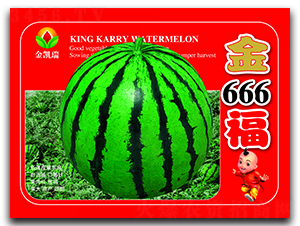 ��666��-��������-����