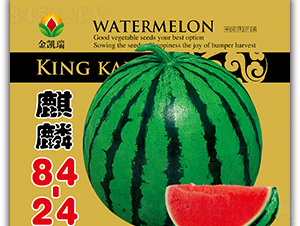 ����84.24-��������-����