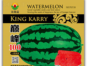�۷�100-��������-����