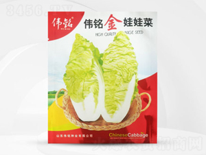 ΰ�������޲�-���޲�����-ΰ����ҵ