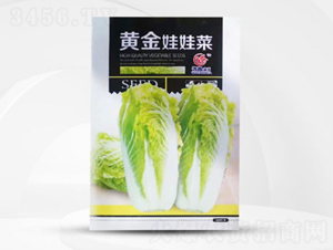 �ƽ����޲�-���޲�����-ΰ����ҵ