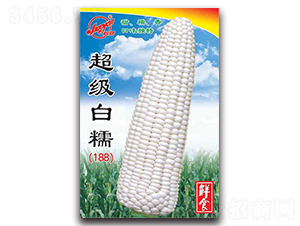 ������Ŵ��188��-Ŵ��������-����