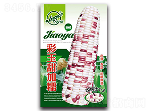 ���в������Ŵ-Ŵ��������-����
