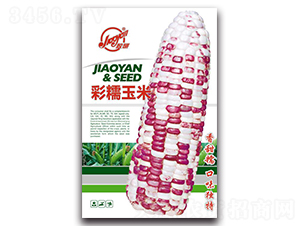 ���в�Ŵ����-Ŵ��������-����