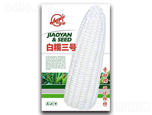 ��Ŵ����-Ŵ��������-����