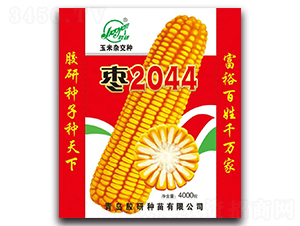 ������2044-�����ӽ���-����