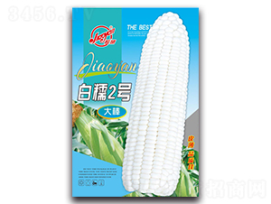 ��Ŵ2��-Ŵ��������-����