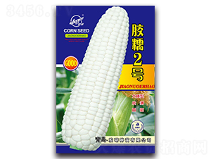 ��Ŵ2��-Ŵ��������-����