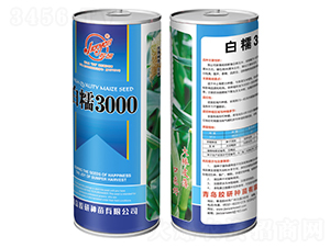 ��Ŵ3000-Ŵ��������-����