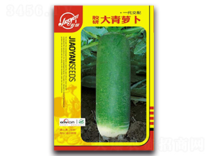 ���д����ܲ�-�ܲ�����-����