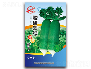 ���д���ˮ���ܲ�-�ܲ�����-����