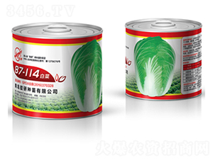 87-114�ײˣ�ƿװ��-�ﲥ�ײ�����-����