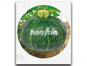 �����ڱ�-�Ϲ�����-����