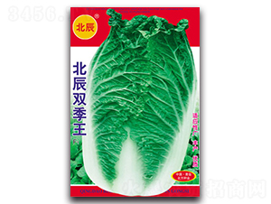 ����˫����-��ײ�����-������ҵ