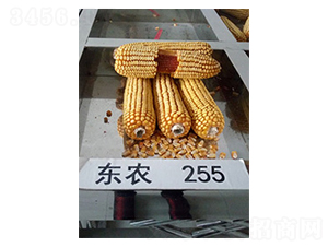 ��ũ255-��������-�а�ũҵ