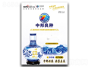 ��ũ256-��������-�а�ũҵ
