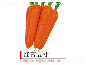 �츻���-���ܲ�����-����ũҵ