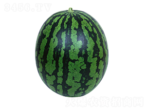 4K-��������-����ũҵ