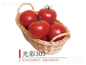���303-��������-����ũҵ