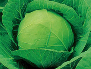 �ļ���70-��������-����ũҵ