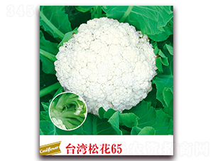 ̨���ɻ�65-��Ҭ������-����