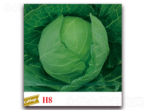 �ϸ�26-��������-����