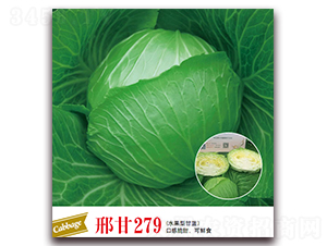 �ϸ�279-��������-����