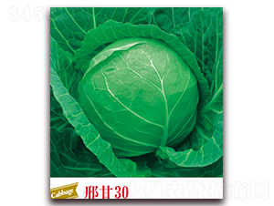 �ϸ�30-��������-����