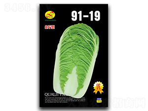 91-19-�ײ�����-�����ҵ