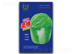 CRʥ��-�ײ�����-�����ҵ