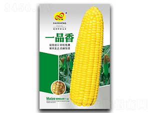 һƷ��-Ŵ��������-�����ҵ
