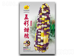 �����Ŵ-Ŵ��������-�����ҵ