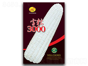 ѩŴ3000-Ŵ��������-�����ҵ