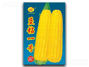 ��ճһ��-Ŵ��������-�����ҵ