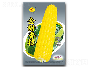 ������Ŵ-Ŵ��������-�����ҵ