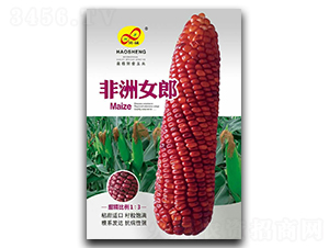 ����Ů��-Ŵ��������-�����ҵ