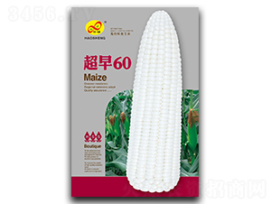 ����60-Ŵ��������-�����ҵ