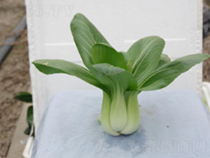 �л�605-�๣������-���ũҵ