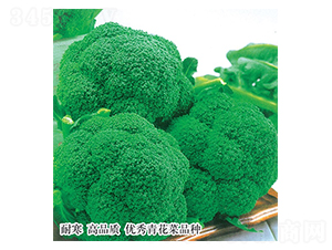 �ձ�Խ��-����������-������ҵ