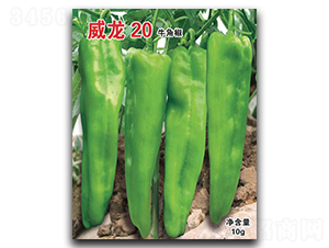 ����20-ţ�ǽ�����-������ҵ