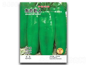 ��������-�ݽ�����-������ҵ